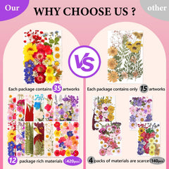 Assorted NESCCI pressed flowers and leaves in vibrant colors for DIY art