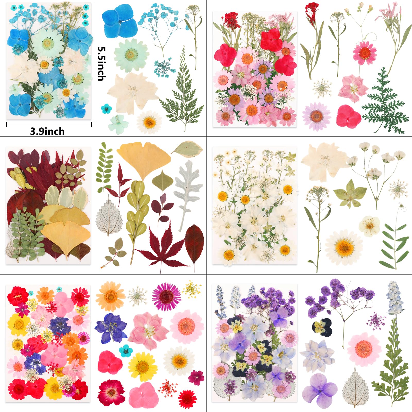 Dried flowers used in resin molds for coasters and frames