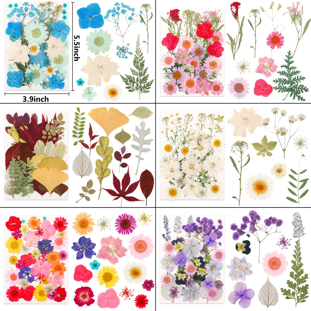 Dried flowers used in resin molds for coasters and frames
