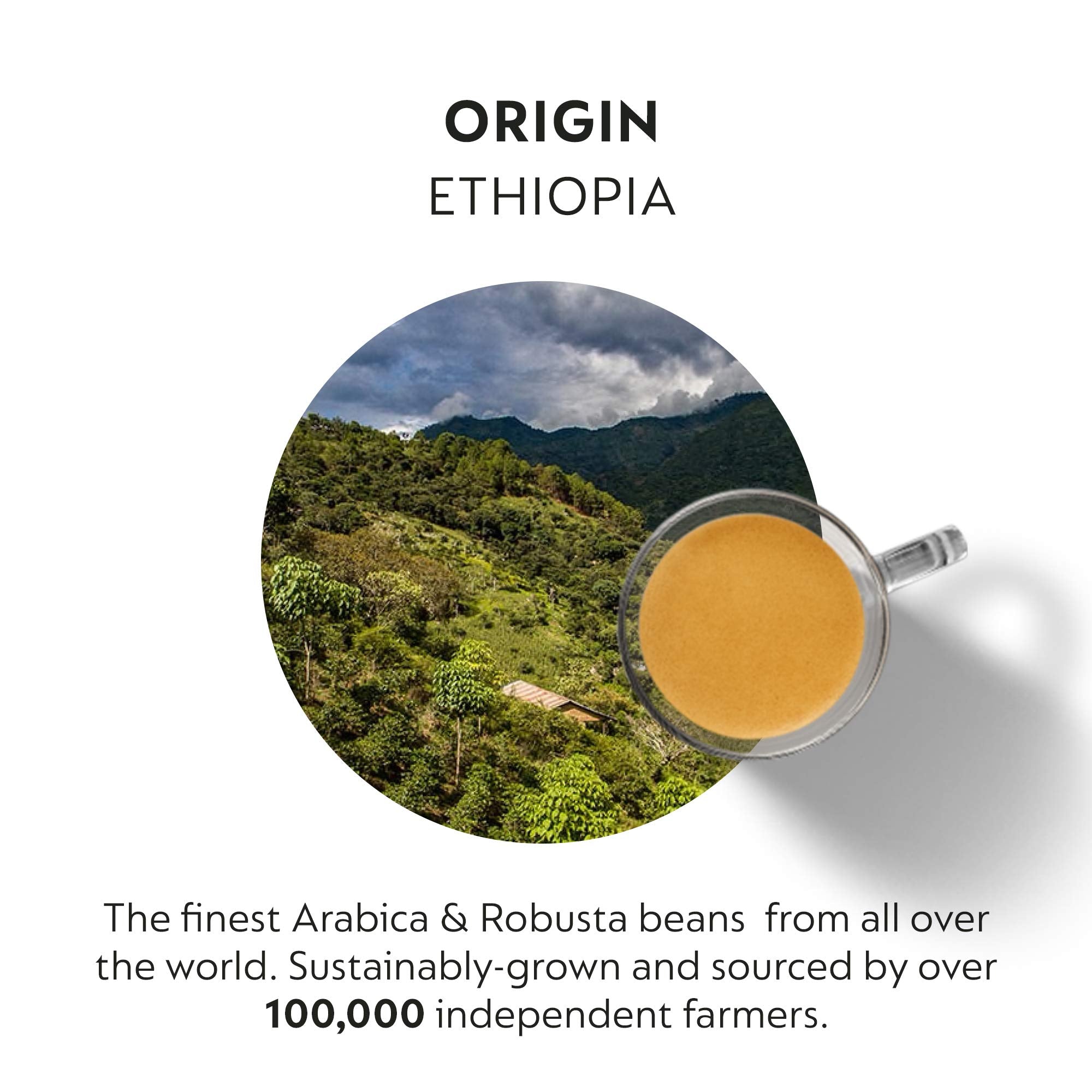 Nespresso Vertuo Ice Leggero Ethiopian Arabica floral aroma