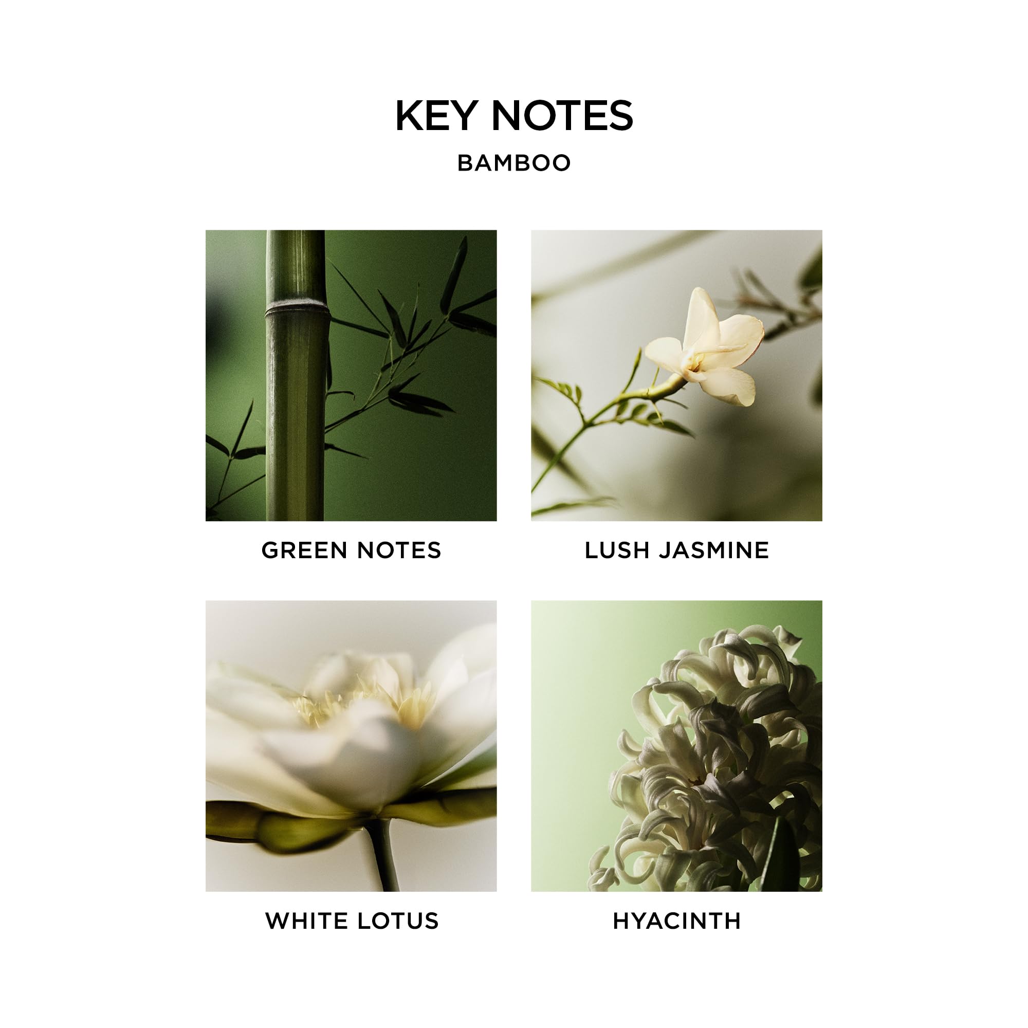 Nest New York Bamboo ingredients emphasize natural extracts supporting cleansing and nourishment.