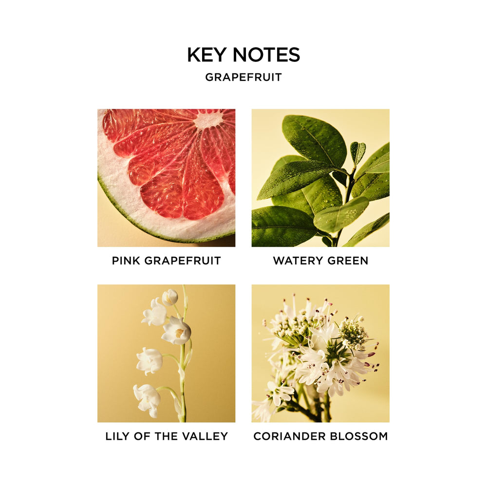 NEST New York Grapefruit hand-use image conveys easy dispensing and pleasant fragrance