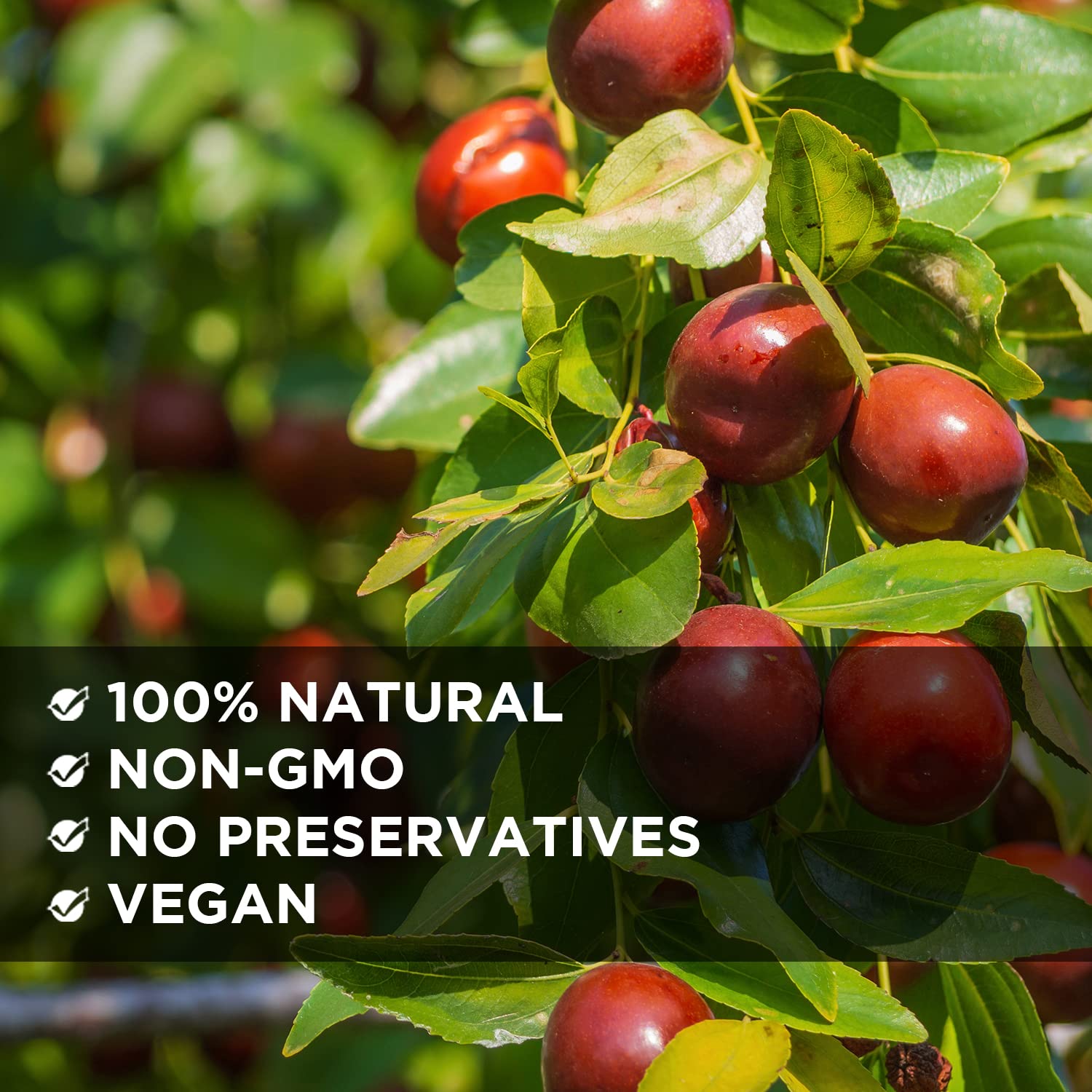 NESTLADY jujube dates with pits preserve traditional flavor and experience