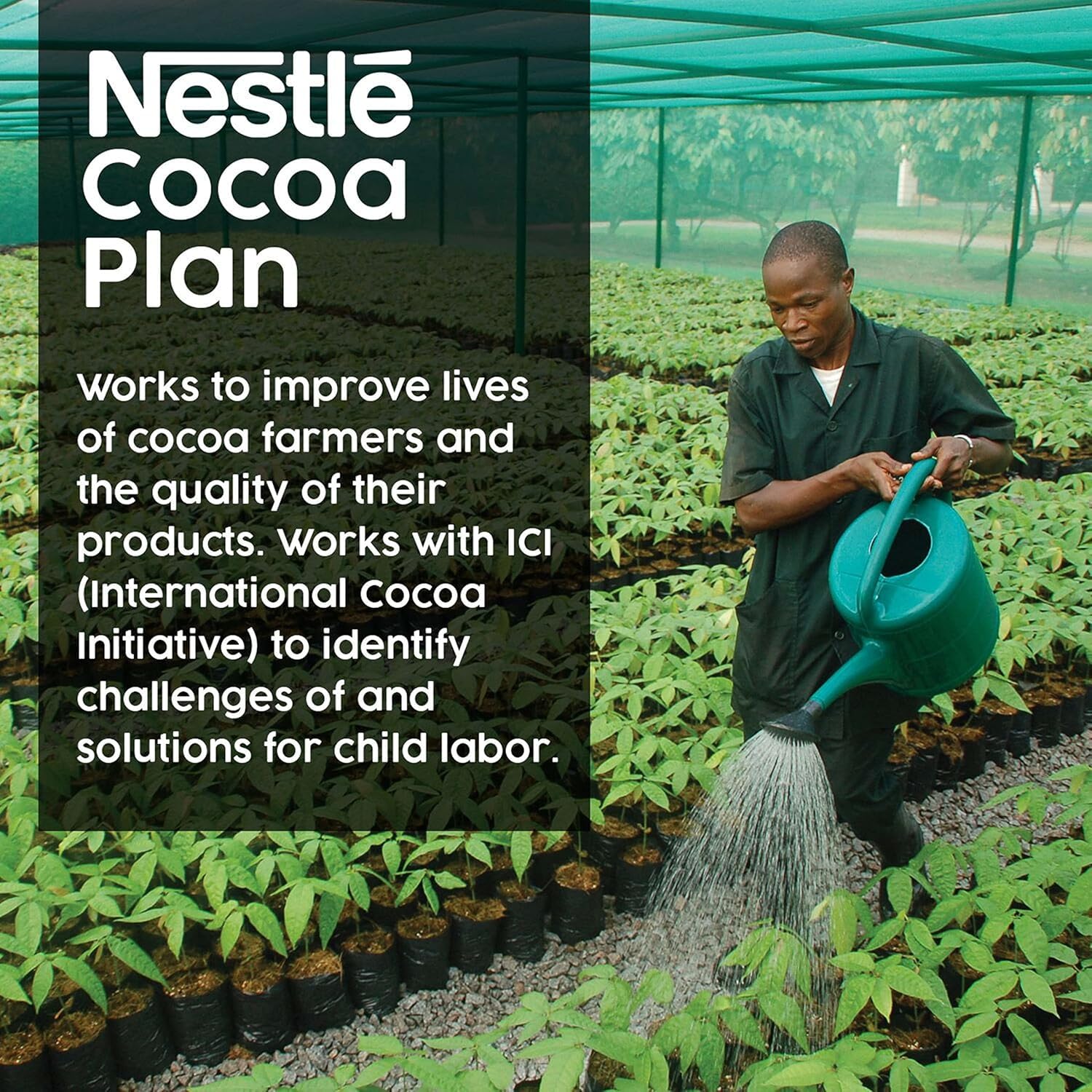 Nestle Hot Cocoa shelf-life; 18-month stability in pantry packaging.
