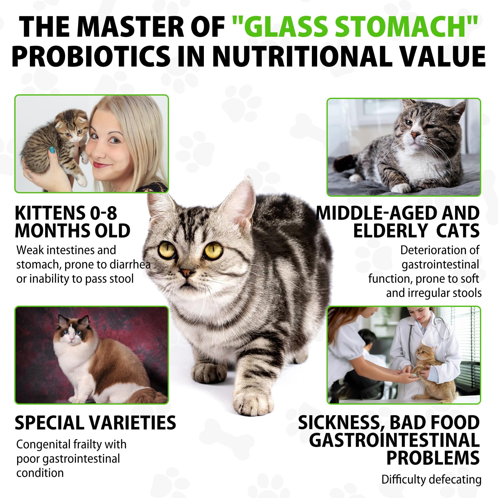 Netwik Cat Constipation Relief dropper enables precise dosing for quick relief.