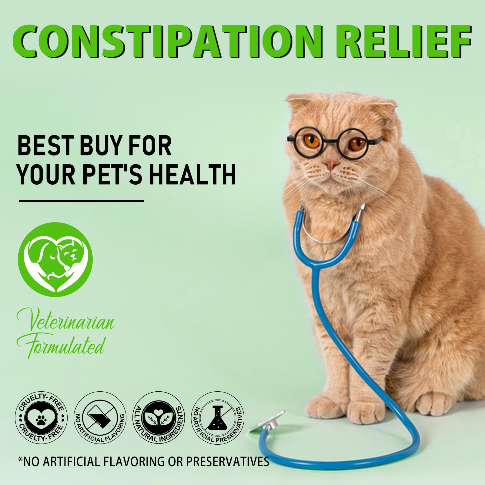 Netwik Cat Constipation Relief happy cat at home indicates improved daily comfort.