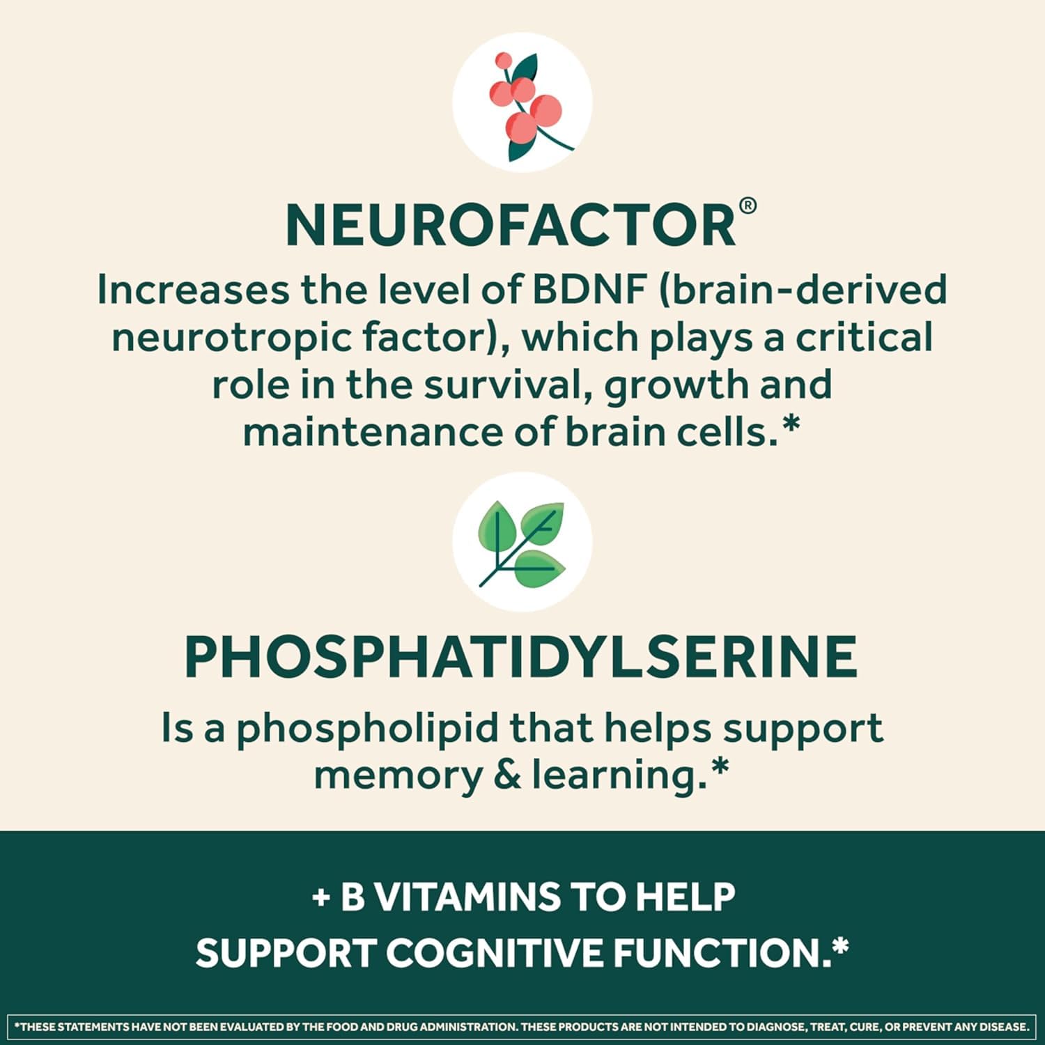 NEURIVA Plus phosphatidylserine ingredient image signals plant-based cognitive support.