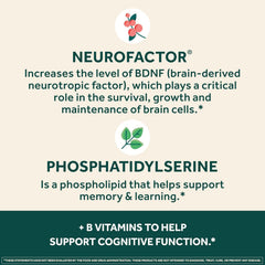 NEURIVA Plus phosphatidylserine ingredient image signals plant-based cognitive support.
