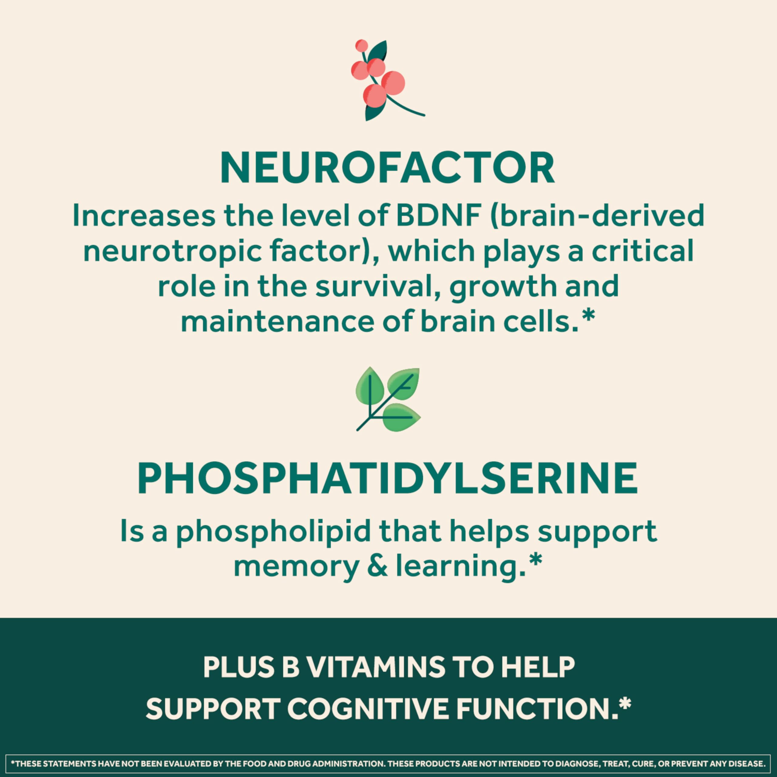 NEURIVA Ultra phosphatidylserine tablet depicted as neuron-friendly support