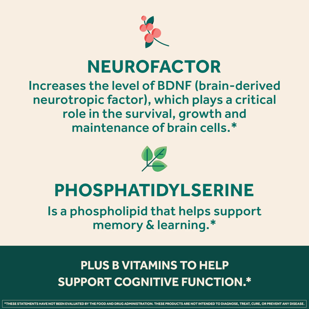 NEURIVA Ultra phosphatidylserine tablet depicted as neuron-friendly support