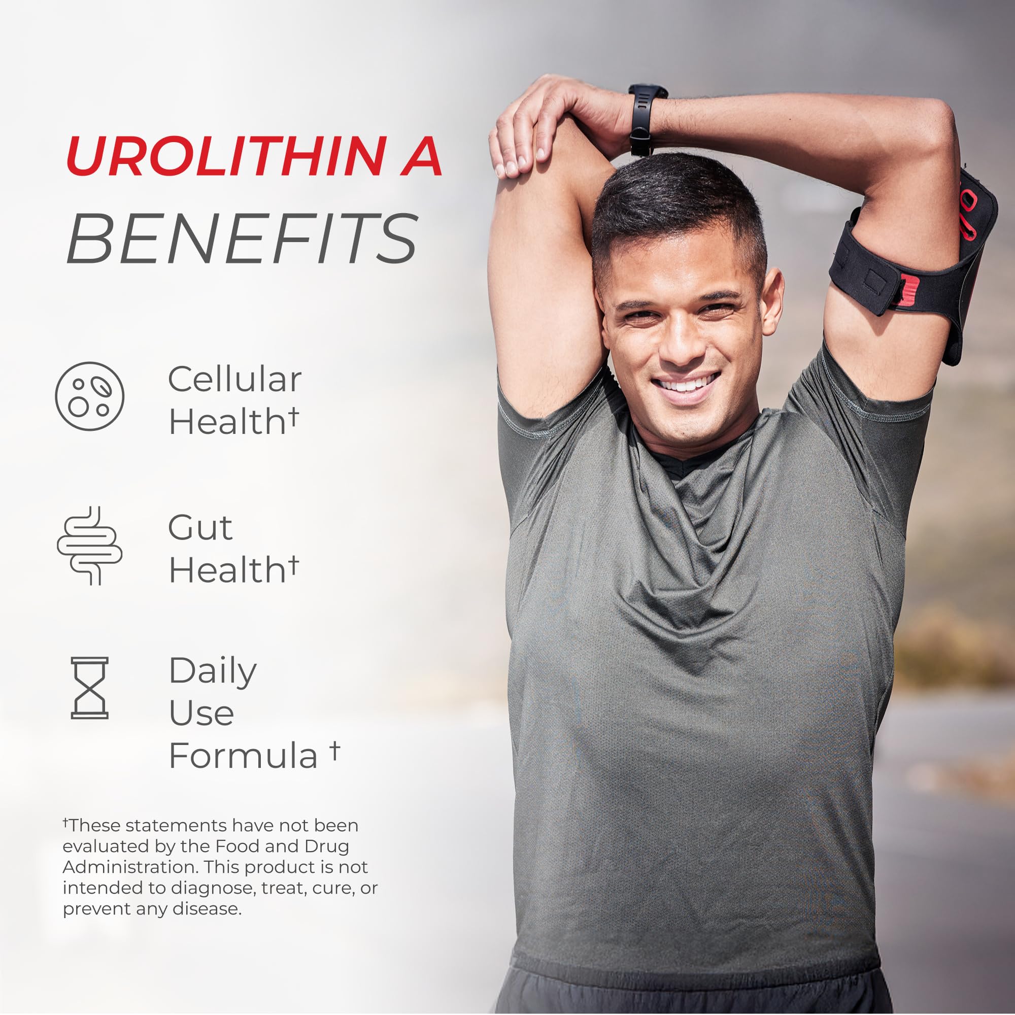 Precise 1000 mg Urolithin A per serving supports daily routines.