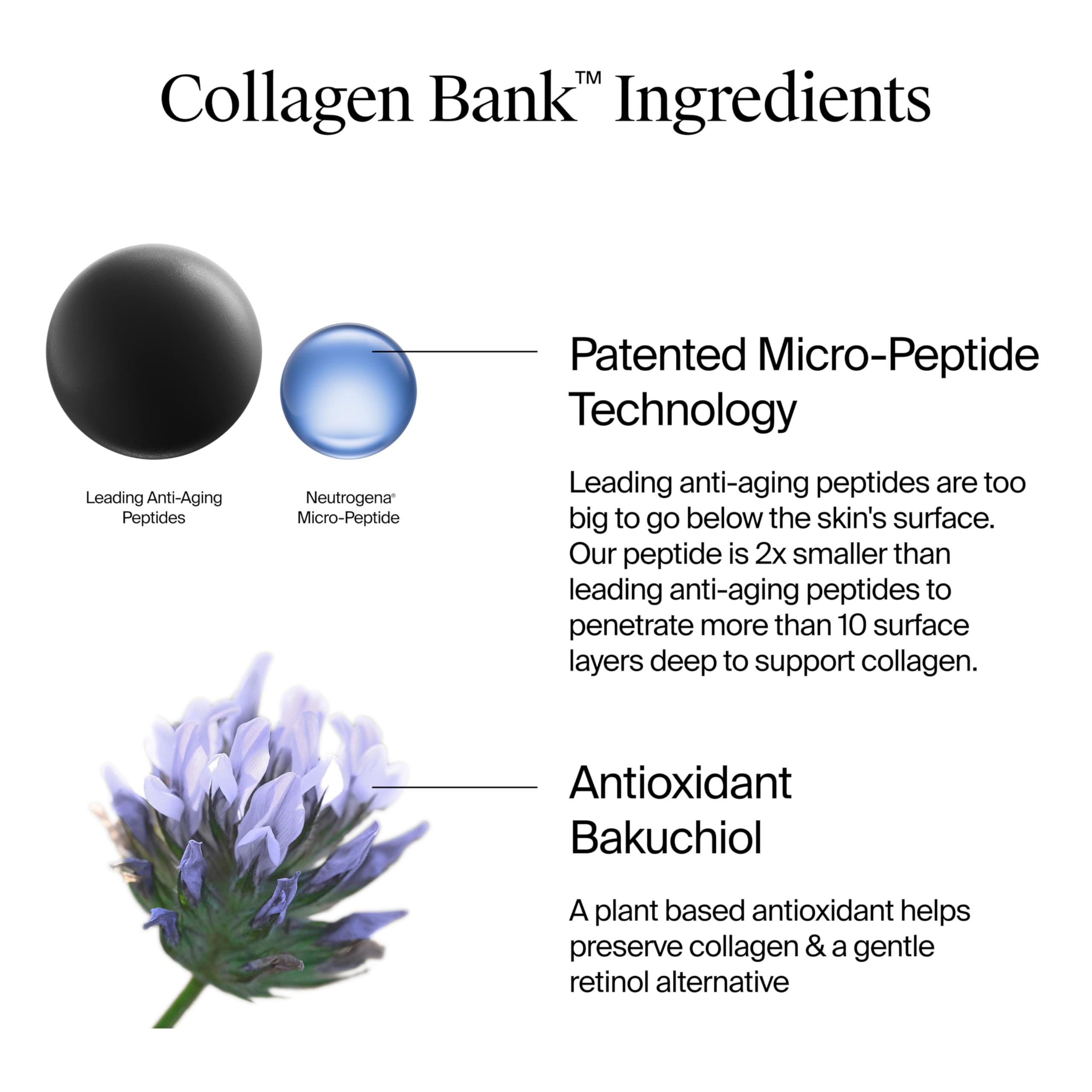 Neutrogena Collagen Bank texture close-up highlights non-greasy absorption