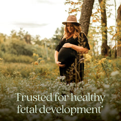 New Chapter Advanced Perfect Prenatal tablets pack closeup showing three-tablet daily regimen