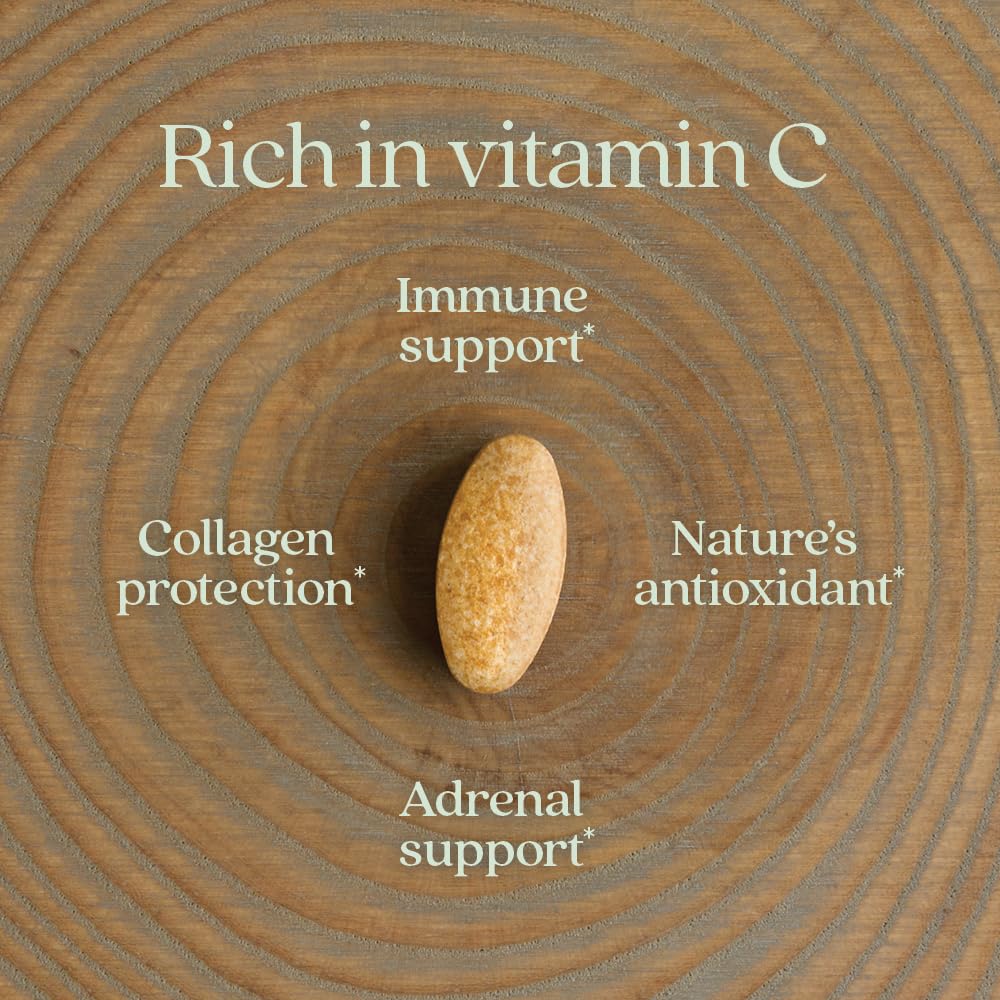 New Chapter fermentation process visual suggesting gentle, food-like Vitamin C.