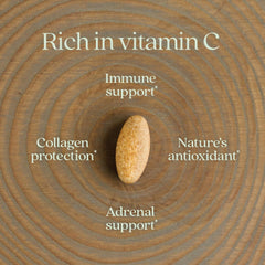 New Chapter fermentation process visual suggesting gentle, food-like Vitamin C.