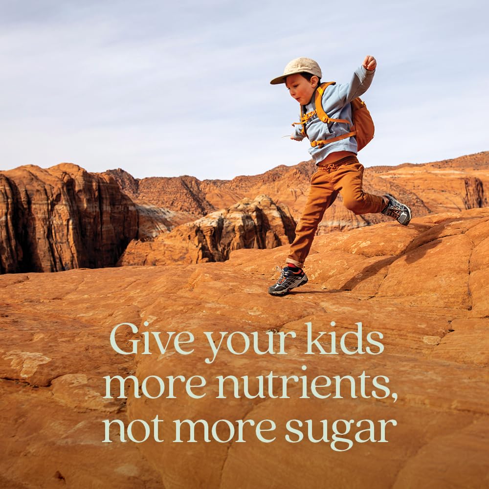 New Chapter Kids Multivitamin Gummies ingredients label shows elderberry blend and fermented B vitamins.