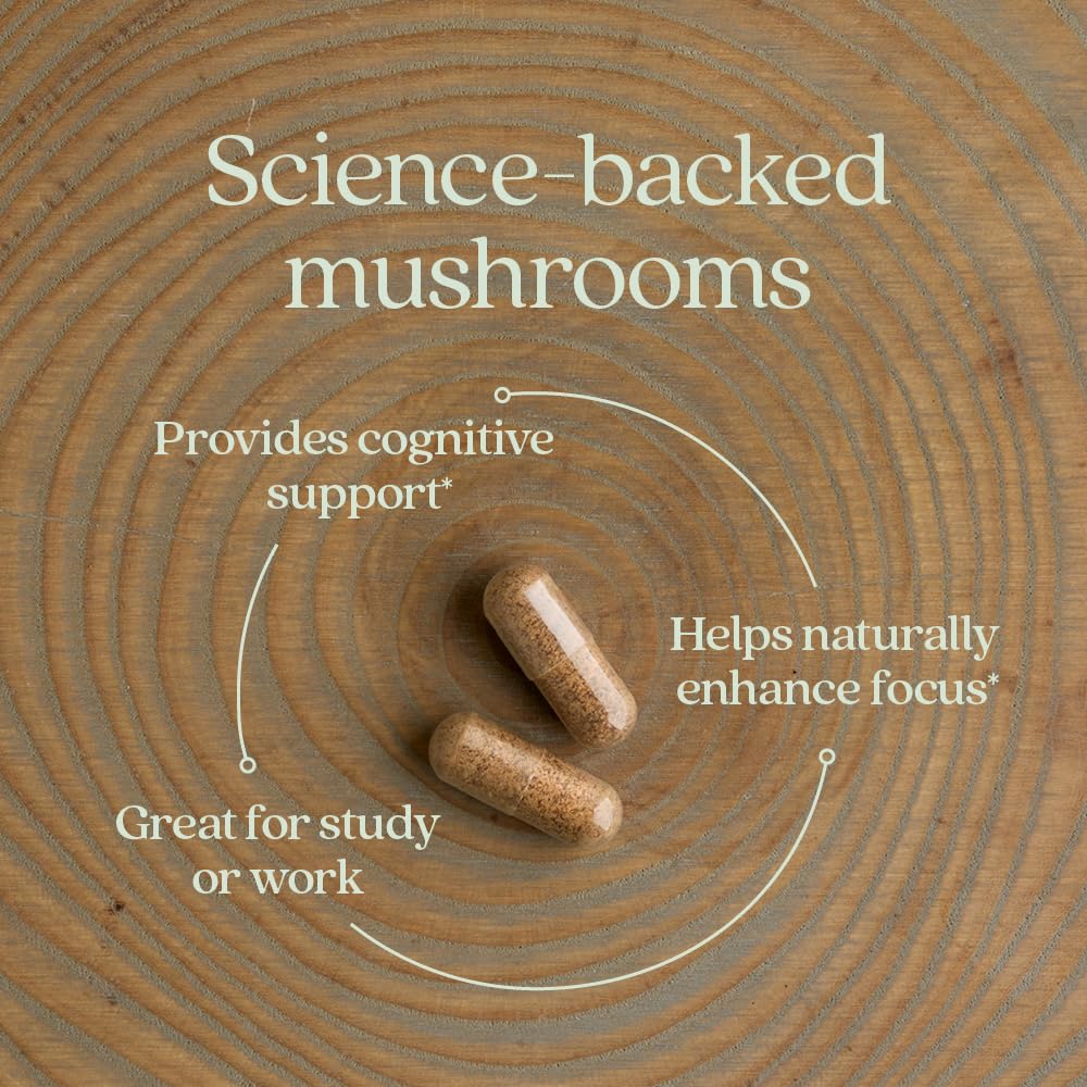 New Chapter Organic Reishi mushroom closeup highlighting potential calm focus.
