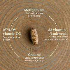 New Chapter Prenatal bottle label showing fermented nutrients; may aid gentle absorption.