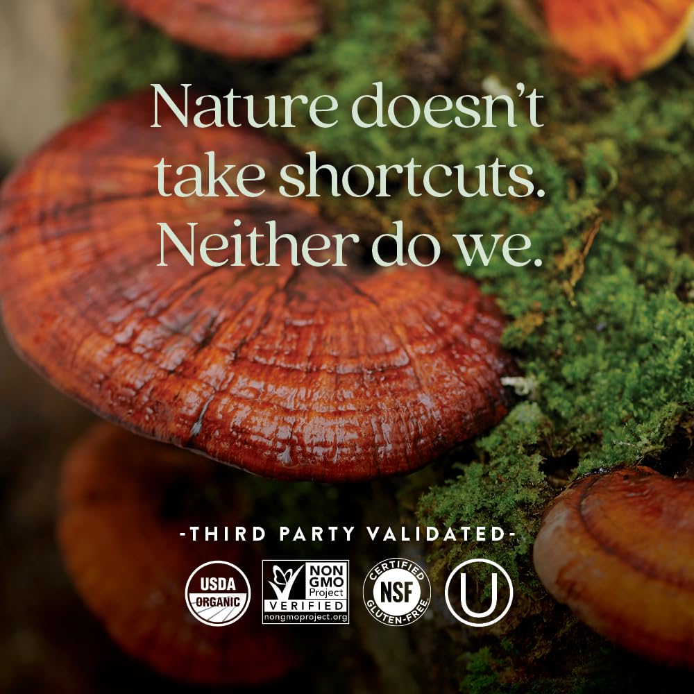 Reishi mushroom icon alongside D3 tablet for adaptogenic support vibes