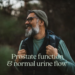 New Chapter Zyflamend Prostate saw palmetto extract close-up for herbal support.
