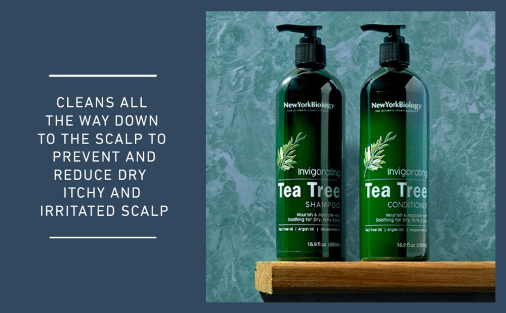 New York Biology Tea Tree Shampoo scalp treatment conveys soothing relief for itchiness.