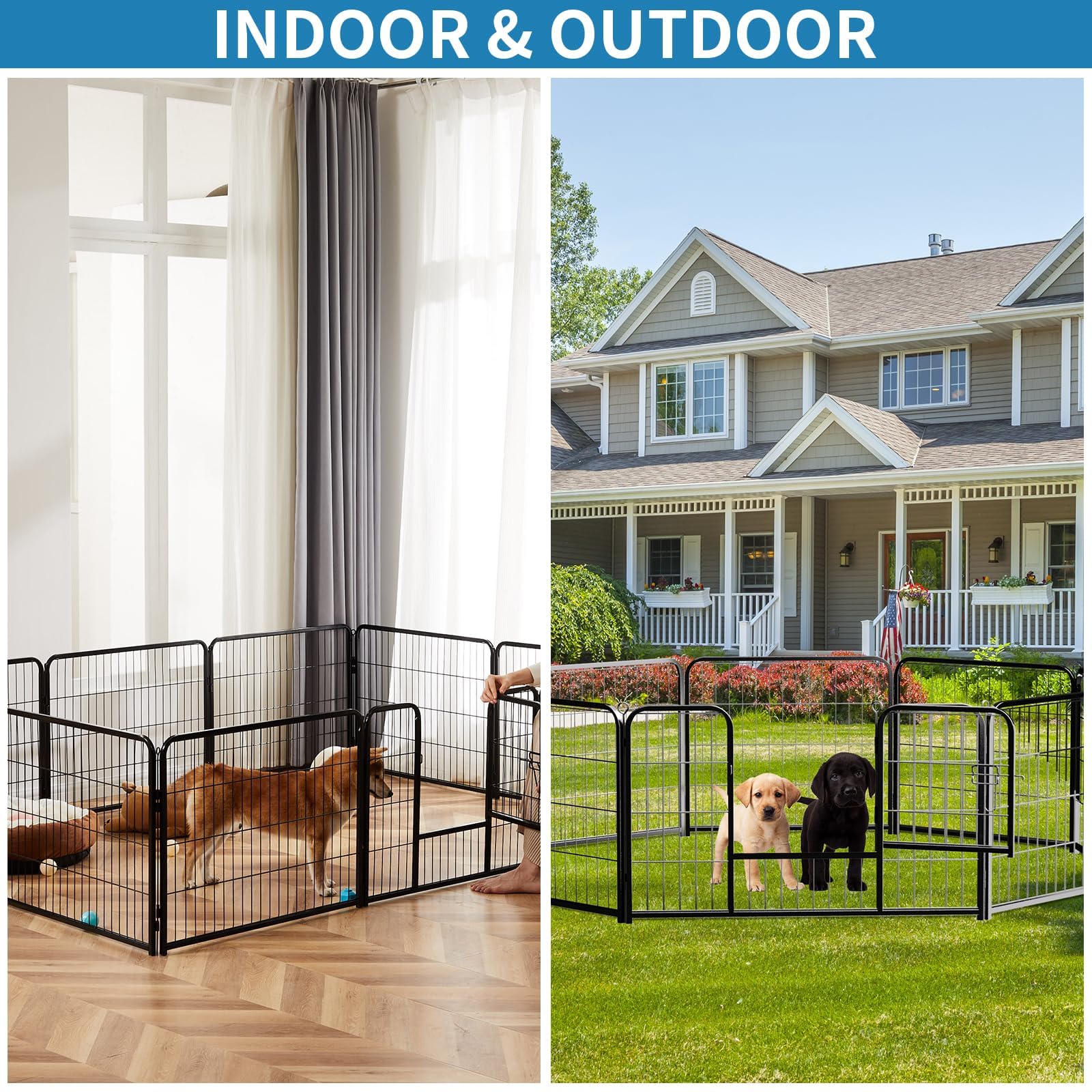 Newbulig interior offers ample space for small pets.