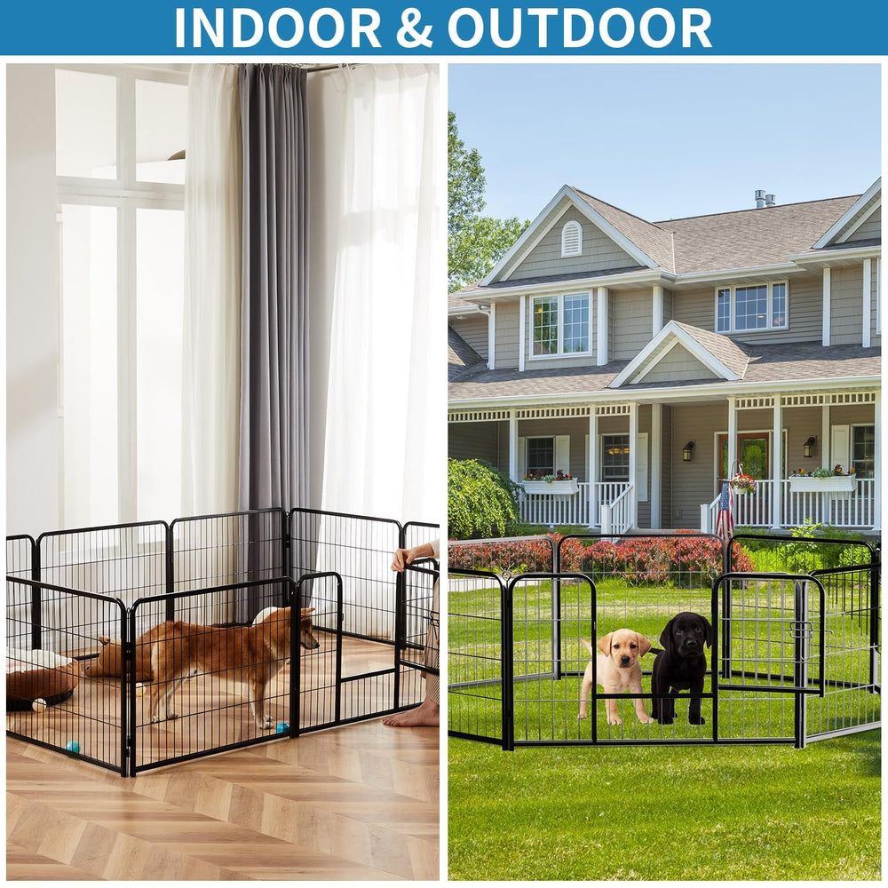 Newbulig interior offers ample space for small pets.