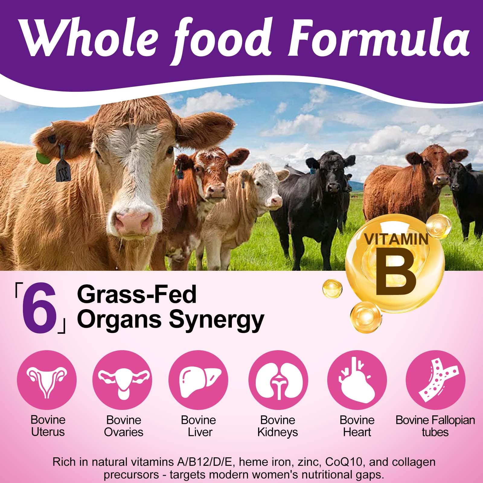 Newseel beef organ supplement ingredients label displayed for transparency and quality.