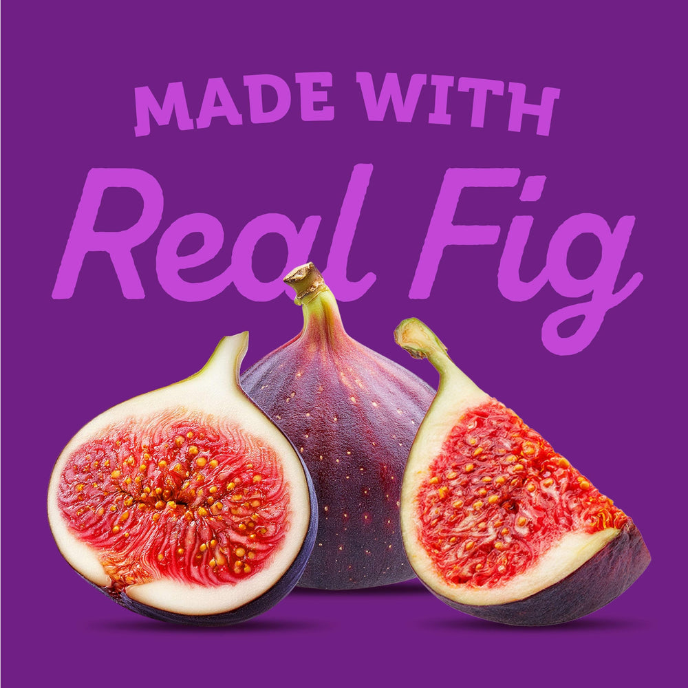 Newtons Fig Bars lunchbox snack for busy days.