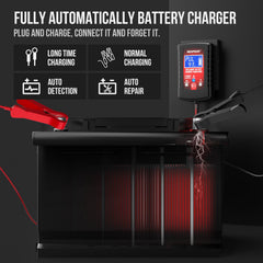 NEXPEAK plug-and-forget trickle mode keeps the battery topped up.