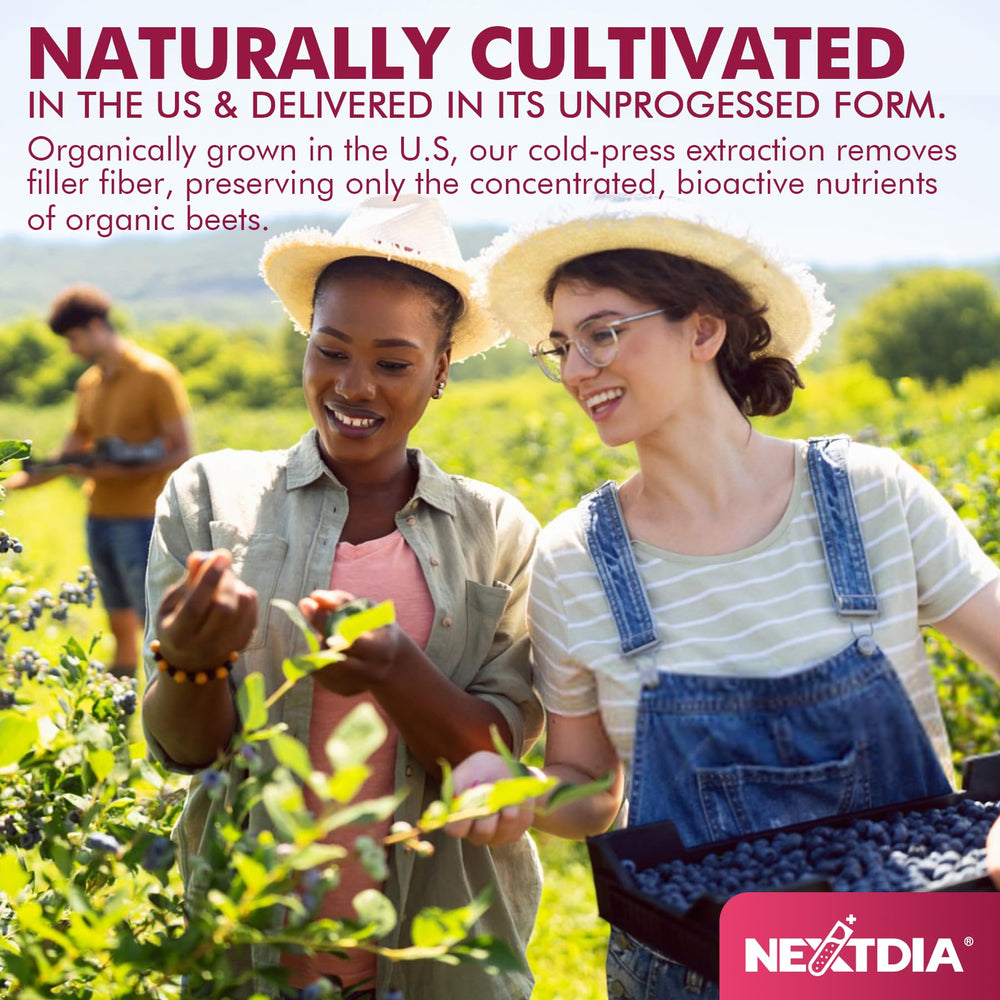 Nextdia Beet Root Gummies packaging front highlighting vegan and sugar-free benefits.