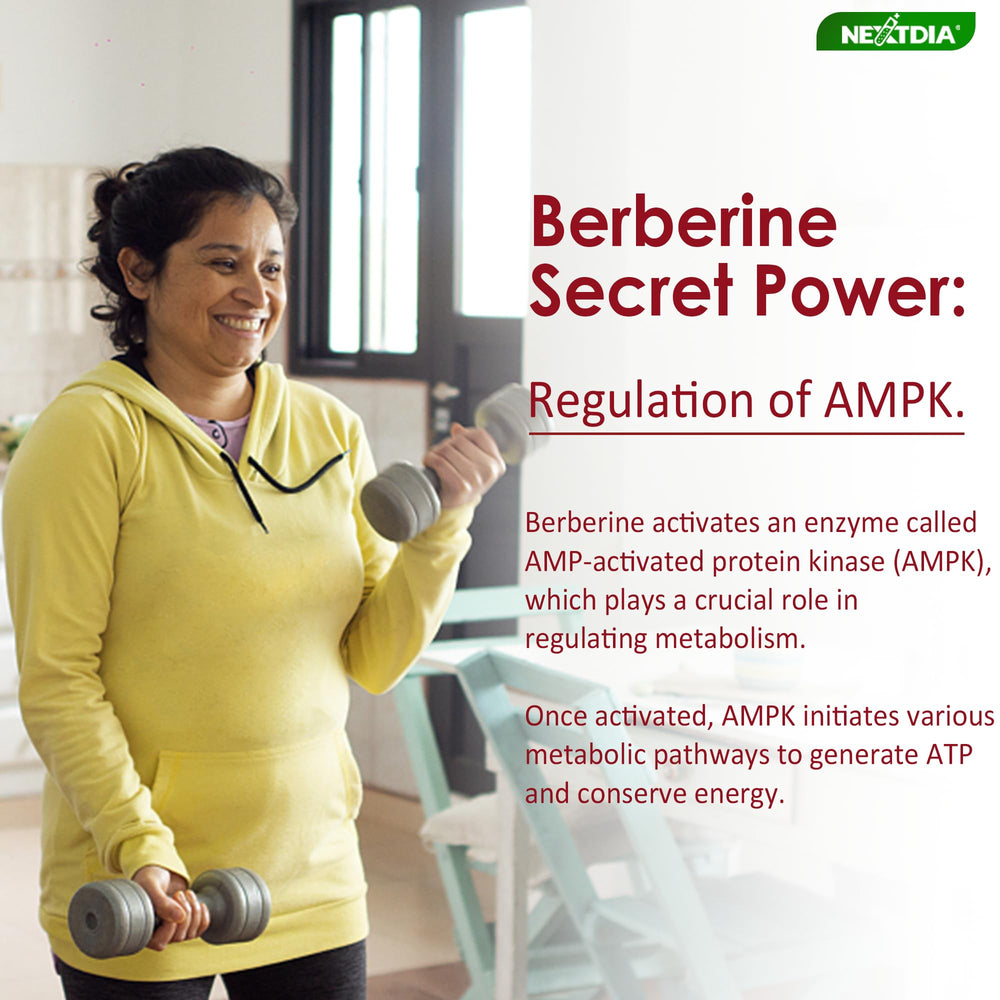 Nextdia Berberine Gummies ingredient cinnamon and berberine for natural synergy