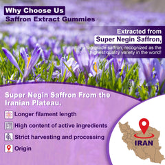 Nextdia saffron gummies ingredients saffron and rosemary for cognitive support