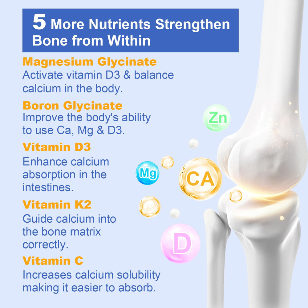 Nextdia sunflower lecithin detail indicating liposome formation for bioavailability.