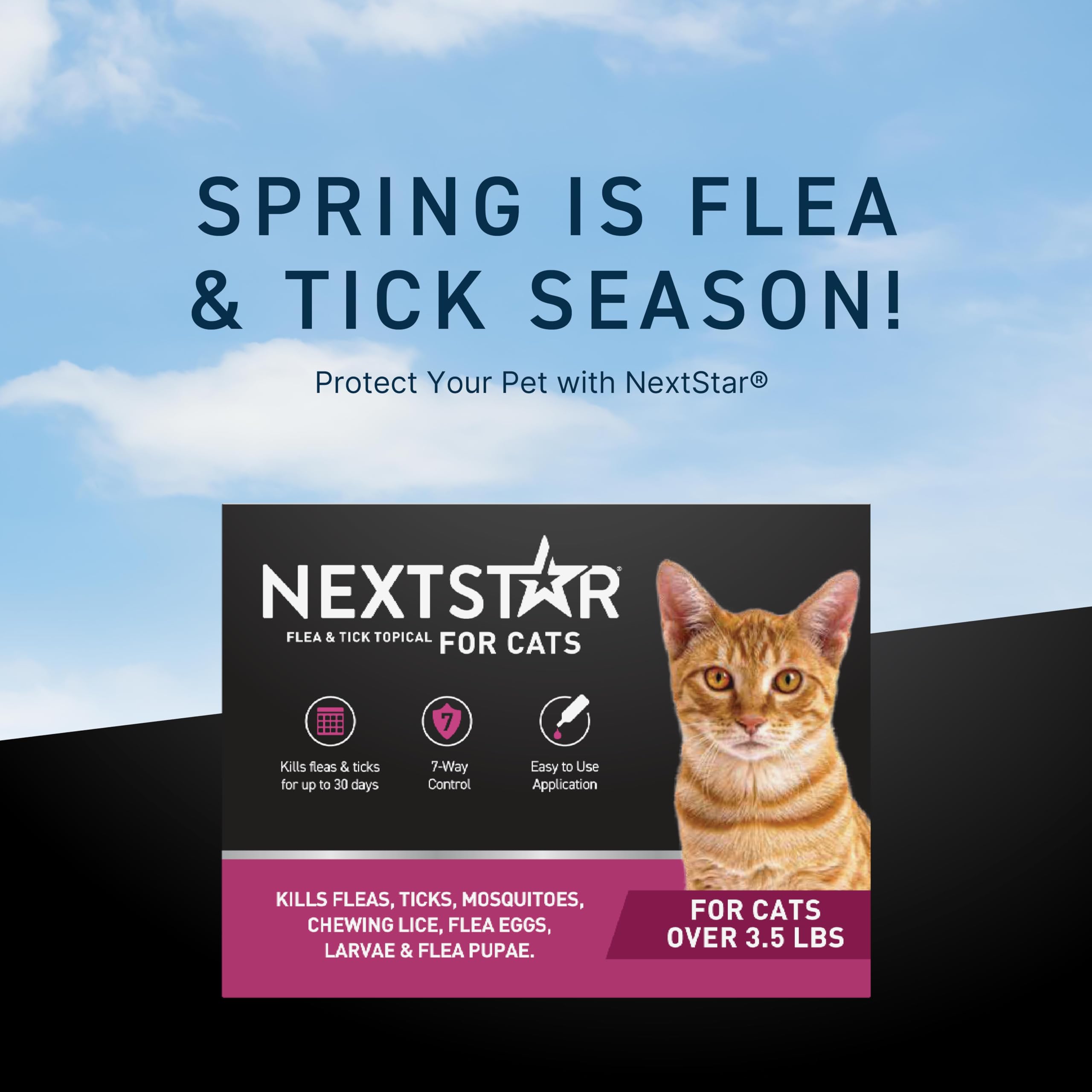 NEXTSTAR cat topical treatment for easy application and fast onset