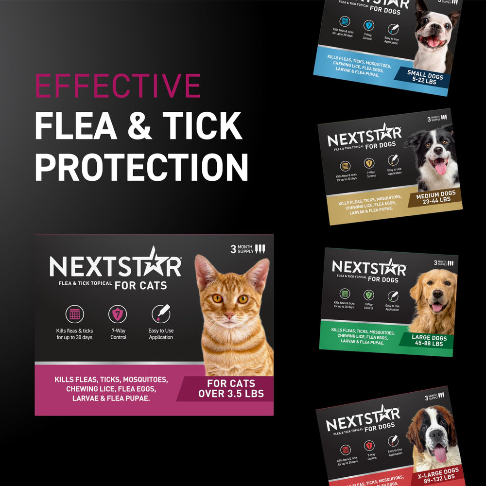 NEXTSTAR topical starts working in 15 minutes for quick defense