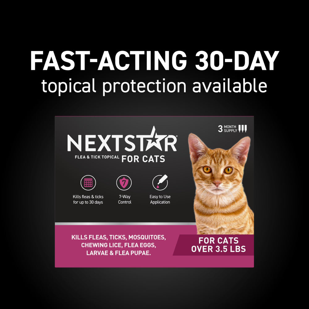 NEXTSTAR waterproof cat flea-tick topical provides all-weather protection