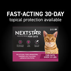 NEXTSTAR waterproof cat flea-tick topical provides all-weather protection