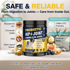 NHWHDJH probiotiques-digestion-chien – équilibre intestinal
