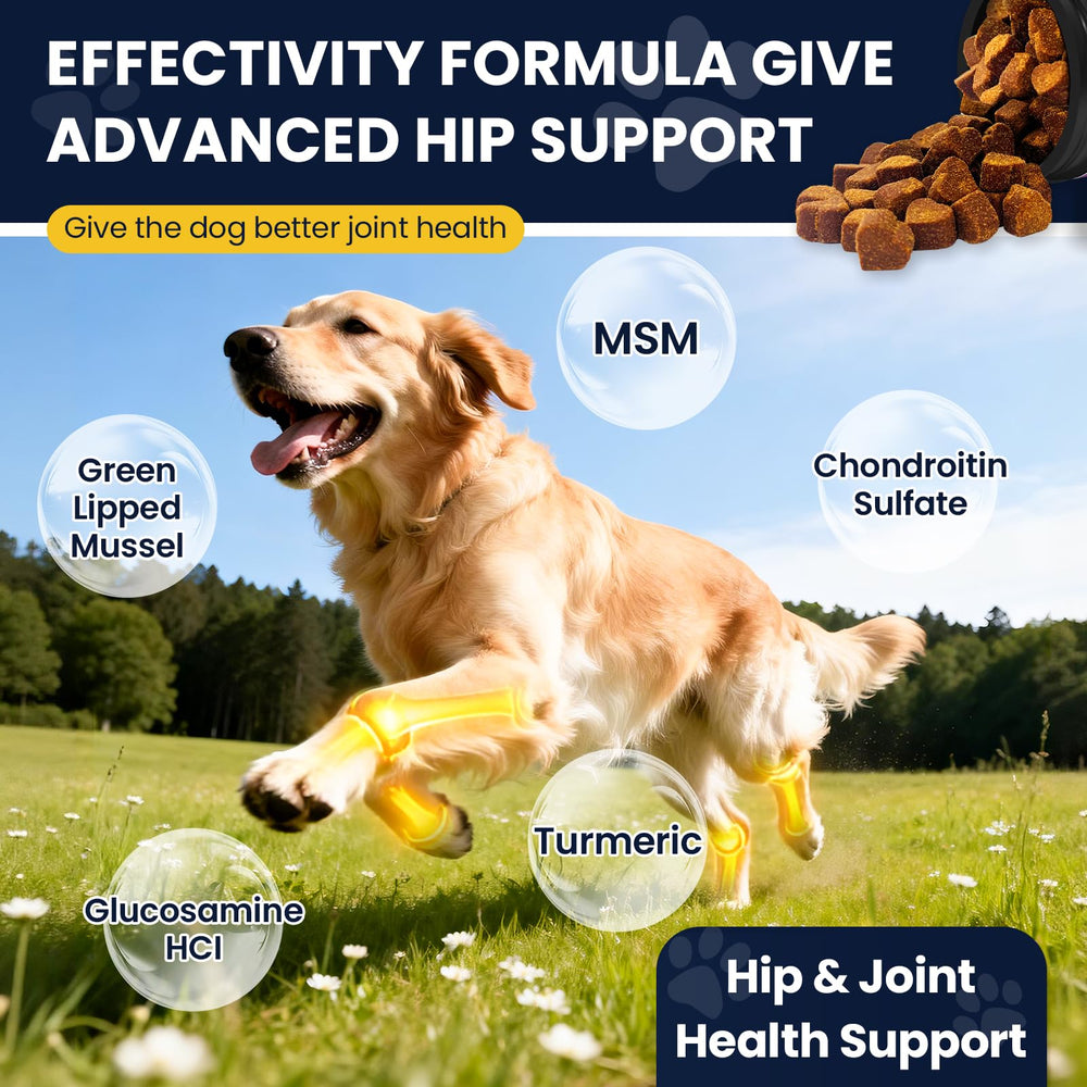 NHWHDJH soutien-immunite-chien – vitalité et défense naturelle