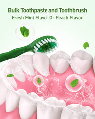 nicedae compact toothbrush perfect for purse, car, office, or backpack.