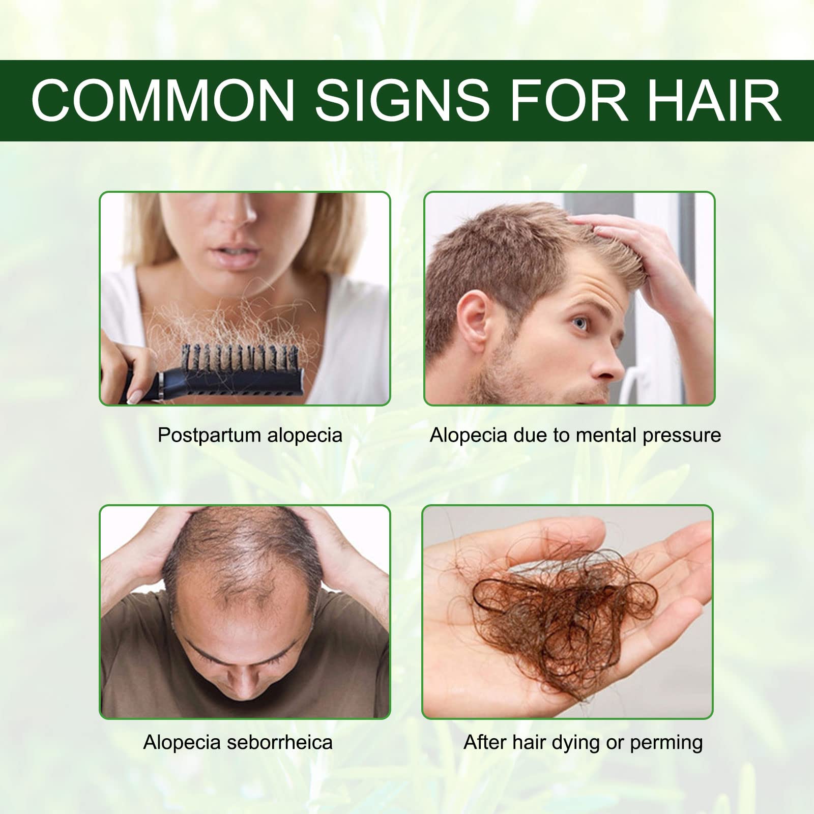 NIFEISHI Rosemary Oil demonstrates hair growth potential and scalp nourishment