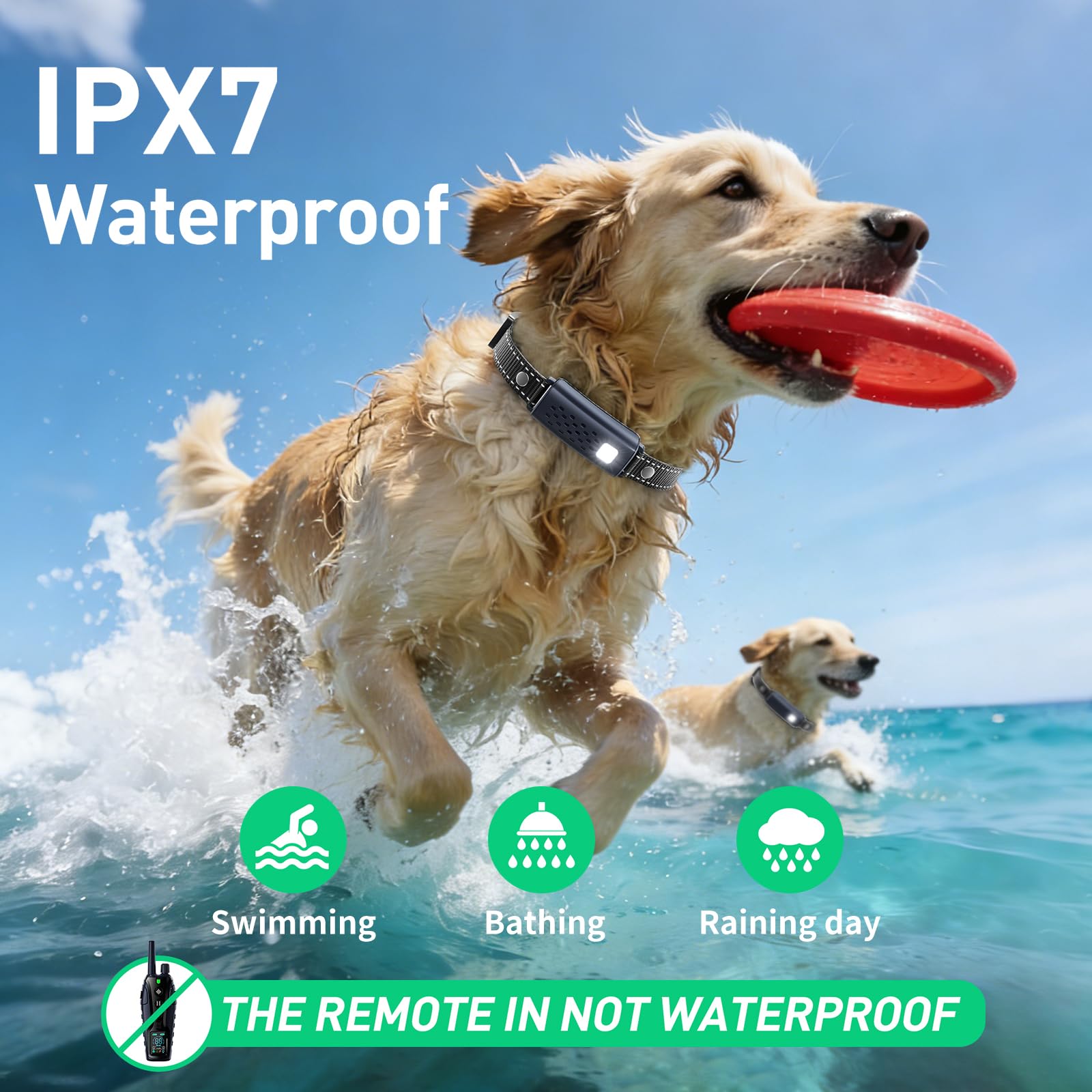 Nikketta IP67 waterproof collar stands up to rain and water play.
