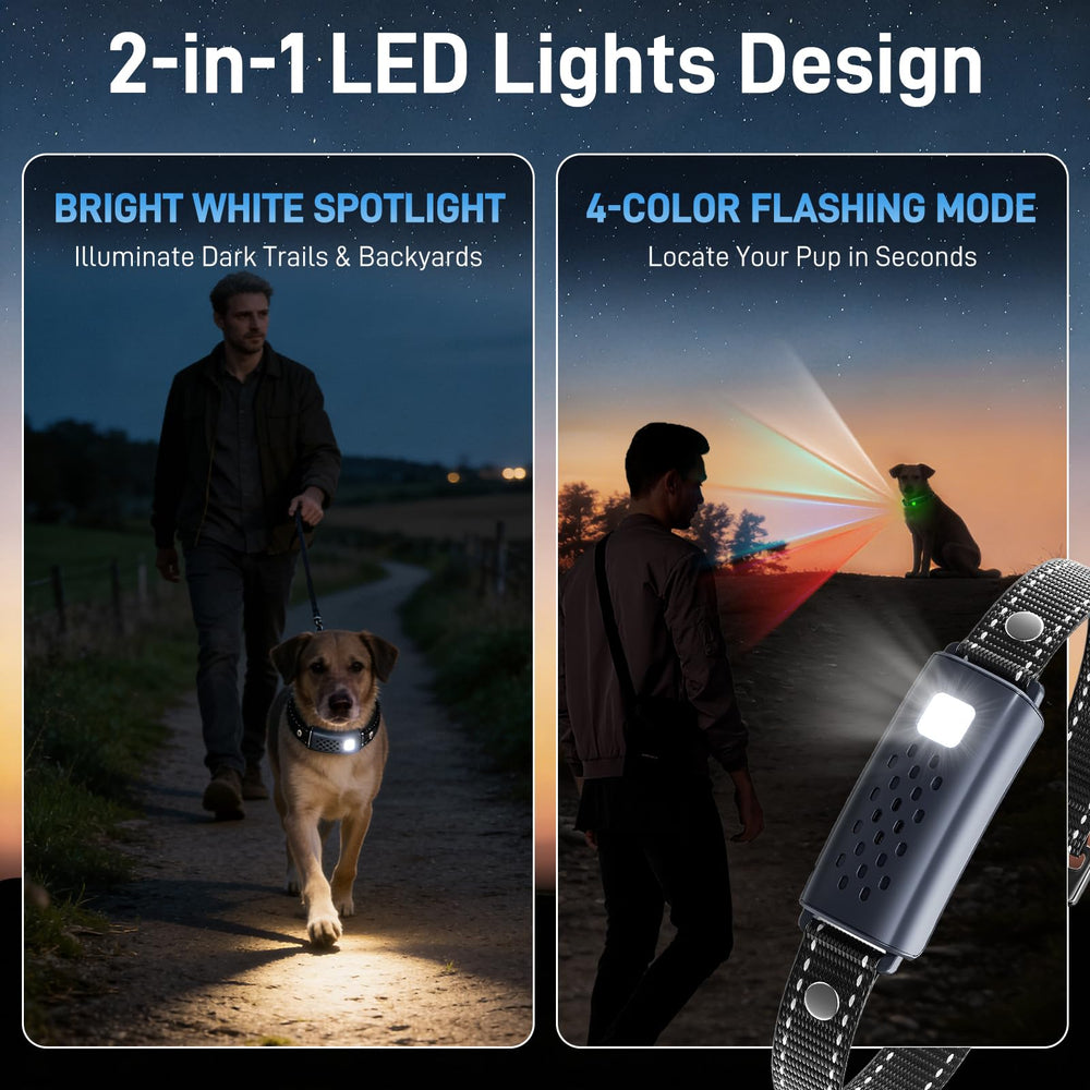 Nikketta two-channel remote enables training two dogs simultaneously.