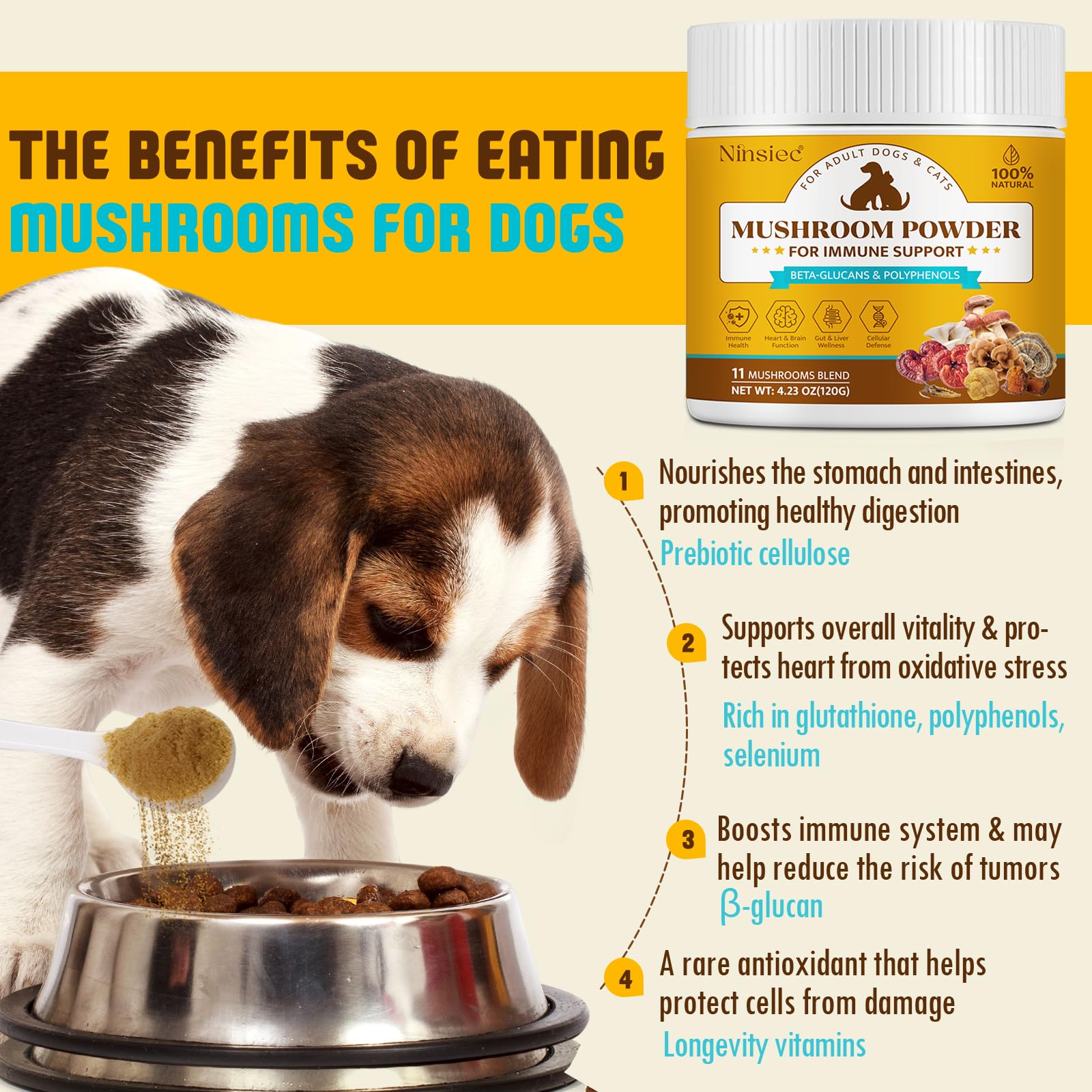 Happy dog enjoying a meal with Ninsiec supplement.