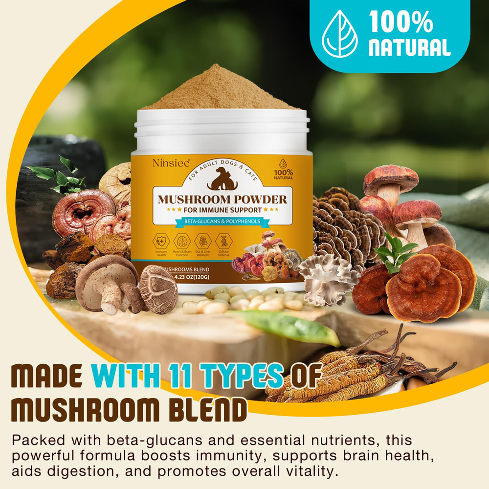 Ninsiec powder scoop and jar highlight convenient dosing for dogs and cats.