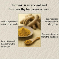 Close-up of NIVELLE turmeric ingredients with ginger, bee propolis, and black pepper
