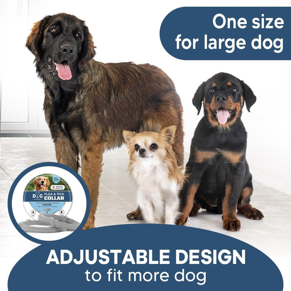 NJKPUYT adjustable collar strap fit for small to large dogs.