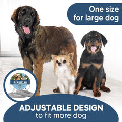 NJKPUYT adjustable collar strap fit for small to large dogs.