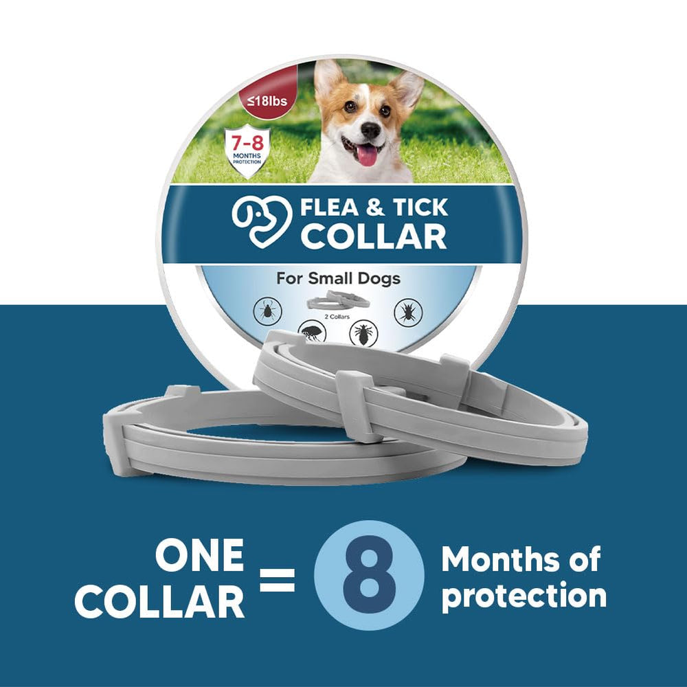 NJKPUYT flea collar works indoors and outdoors for daily outings.